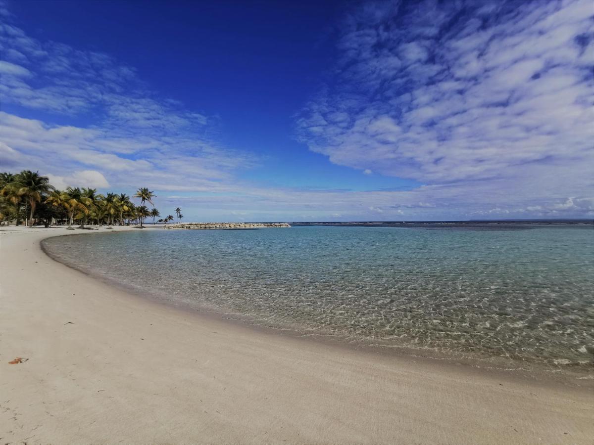 T2 Toloman - Sainte-Anne Centre - Acces Plage A Pied Eksteriør billede